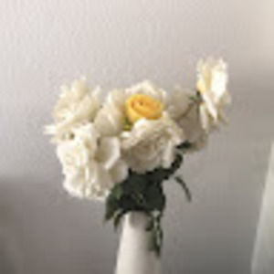 Meet your Posher, Natasha